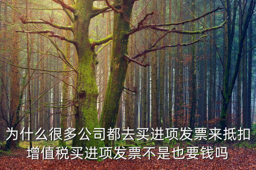 為什么很多公司都去買進項發票來抵扣增值稅買進項發票不是也要錢嗎