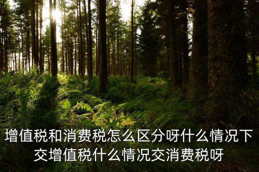 增值稅和消費稅怎么區分呀什么情況下交增值稅什么情況交消費稅呀