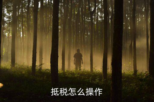 辦理抵稅流程是什么，電子稅務局退抵稅流程