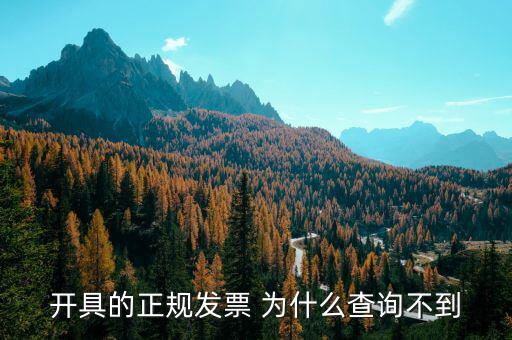 開具的正規發票 為什么查詢不到