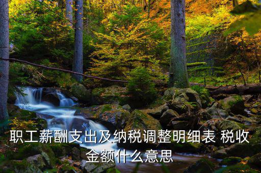 什么是納稅調整金額，職工薪酬支出及納稅調整明細表 稅收金額什么意思