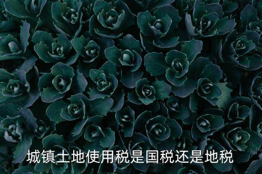 城鎮土地使用稅是國稅還是地稅