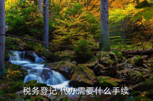 稅務登記 代辦需要什么手續
