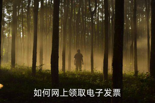 如何網上領取電子發票