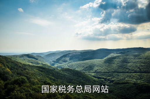 國家稅務總局網站