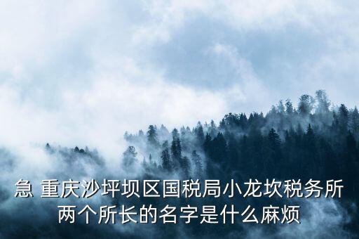急 重慶沙坪壩區國稅局小龍坎稅務所兩個所長的名字是什么麻煩