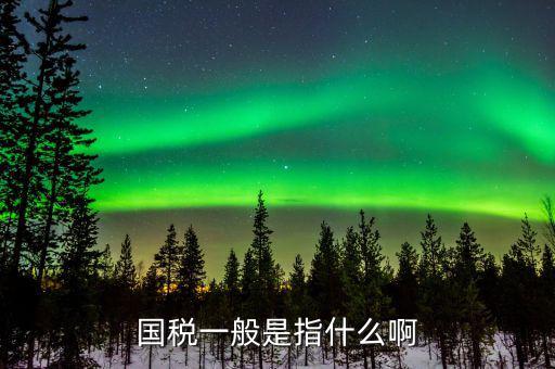 國稅指工業企業是什么意思，所屬國稅是什么意思