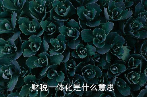 什么是稅收一體化，財稅一體化客戶端V11是什么啊必須用嗎