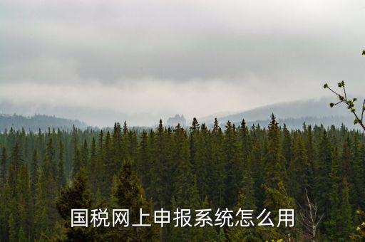 國(guó)稅網(wǎng)絡(luò)預(yù)申請(qǐng)系統(tǒng)是什么，怎么安裝國(guó)稅網(wǎng)上申報(bào)系統(tǒng)