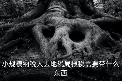 小規模納稅人去地稅局報稅需要帶什么東西