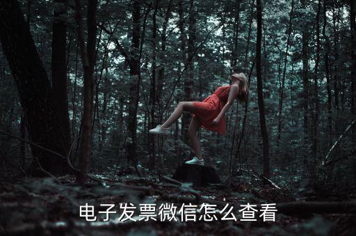 電子發票微信怎么查看