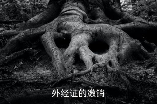 廈門繳銷外經證國稅什么資料，廈門國稅需銷項合同是什么