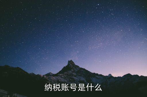 河北地稅賬號是什么意思，稅務賬號是什么