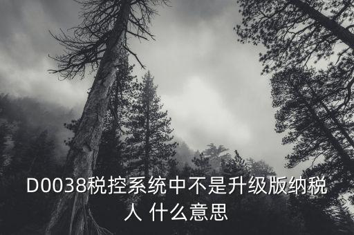 D0038稅控系統中不是升級版納稅人 什么意思