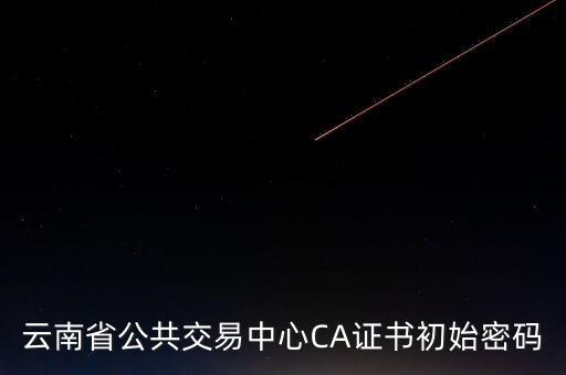 ca原始密碼登錄是什么，蘇州投標ca初始密碼