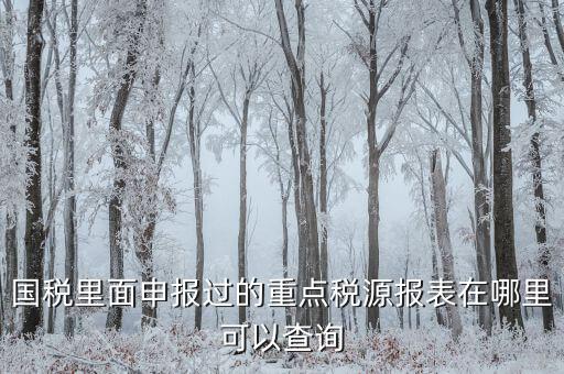 重點稅源預測網址是什么，國稅里面申報過的重點稅源報表在哪里可以查詢
