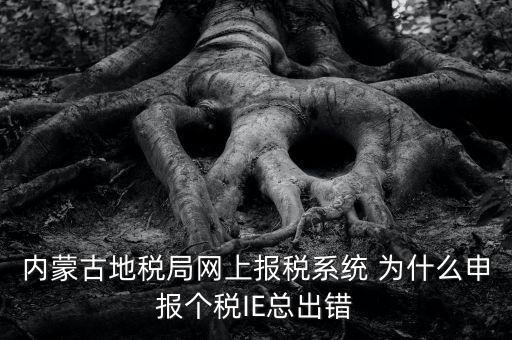 為什么內蒙古國地稅網進不去，windows7內蒙古地稅報稅系統顯示無法顯示該網頁