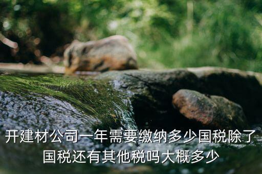 建材生產公司交什么稅，建材業個體戶要交什么稅