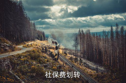 社保費征管職責劃轉移交些什么，2020年新疆社會保險費征管職責劃轉包包括哪些內容