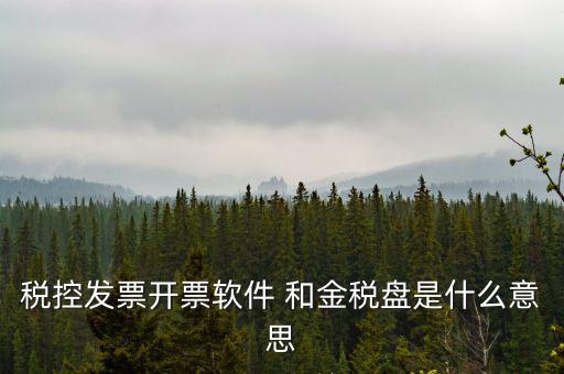 稅控發票開票軟件 和金稅盤是什么意思