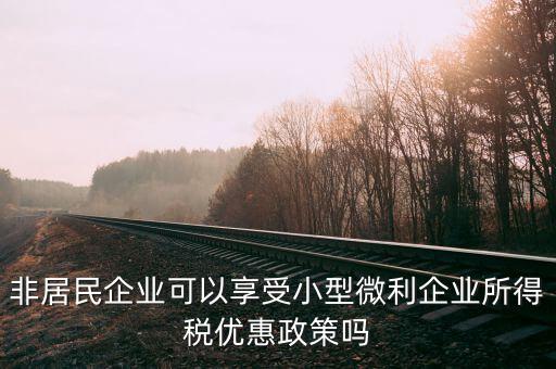 非居民企業可以享受小型微利企業所得稅優惠政策嗎