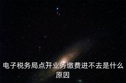 電子稅務局點開業務繳費進不去是什么原因