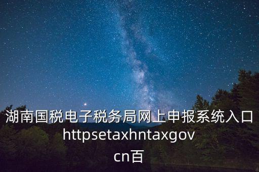 湖南國稅電子稅務局網上申報系統入口httpsetaxhntaxgovcn百
