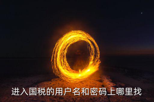 國稅的用戶名是什么，稅務用戶名是什么啊