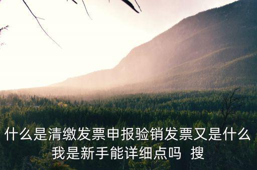 什么是清繳發票申報驗銷發票又是什么我是新手能詳細點嗎  搜