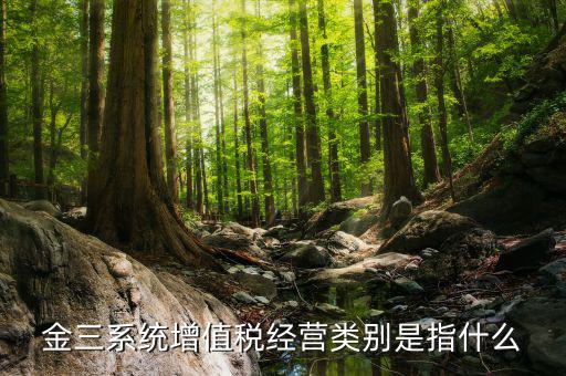 金三系統增值稅經營類別是指什么