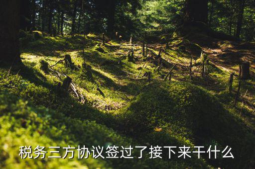 稅務三方協議簽過了接下來干什么