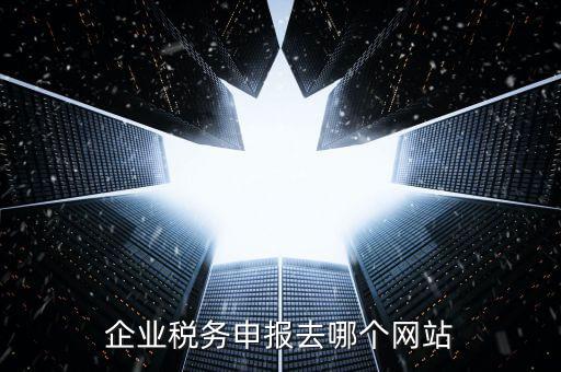 企業稅務申報去哪個網站