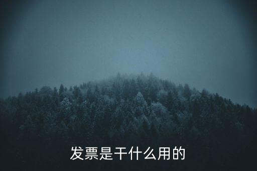 發票是干什么用的