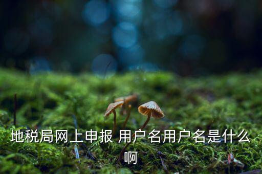 地稅局網上申報 用戶名用戶名是什么啊