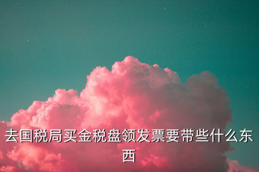 領金稅盤需要什么資料，新企業辦理金稅盤需要帶什么資料