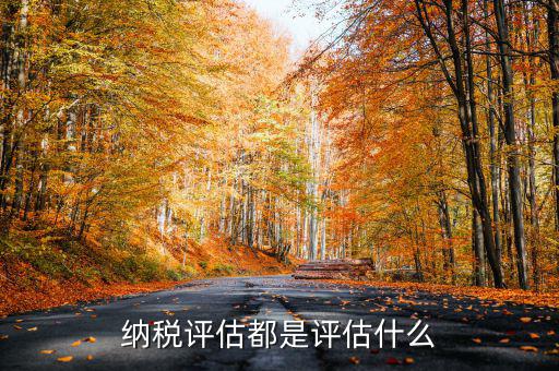 什么是稅務局企業評估，納稅評估都是評估什么