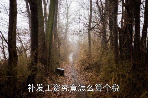 補發工資究竟怎么算個稅