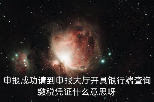 申報(bào)成功請(qǐng)到申報(bào)大廳開具銀行端查詢繳稅憑證什么意思呀