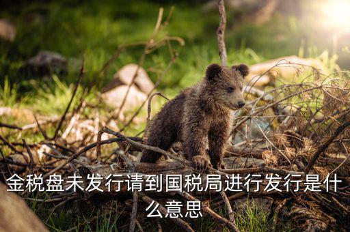 金稅盤未發行請到國稅局進行發行是什么意思