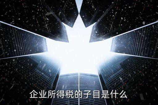 企業所得稅征收品目是什么，征收品目是什么
