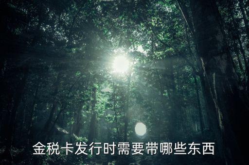 金稅卡發行時需要帶哪些東西