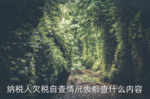 重點納稅人走訪情況表是什么，納稅人自查情況說明表里各項都填什么