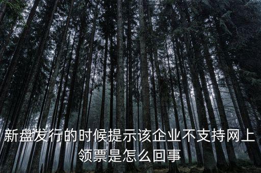 新盤發行的時候提示該企業不支持網上領票是怎么回事