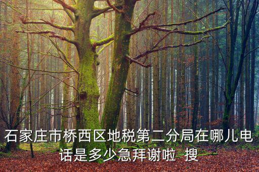 石家莊市橋西區地稅第二分局在哪兒電話是多少急拜謝啦  搜