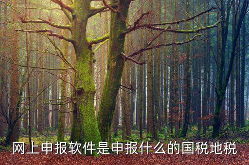 國稅微信申報什么意思，國稅網上申報怎么回事