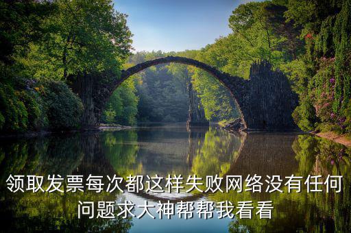 領取發票每次都這樣失敗網絡沒有任何問題求大神幫幫我看看