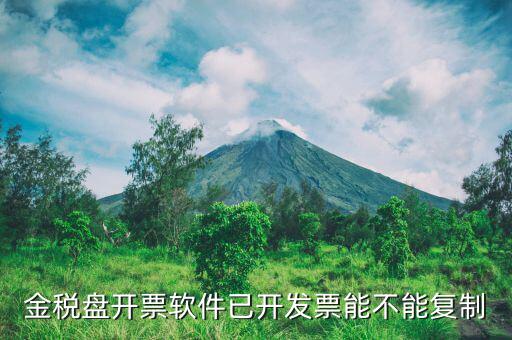 什么發票能進行復制發票操作，如何將Excel中制作的發票專業發票復制到Word文檔中并且格式