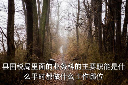 什么是稅政工作，縣國稅局里面的業務科的主要職能是什么平時都做什么工作哪位
