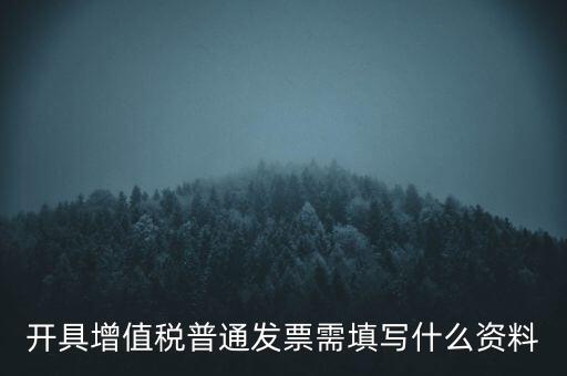 開增值稅普通票需要什么資料，購買增值稅普通發票需要什么資料