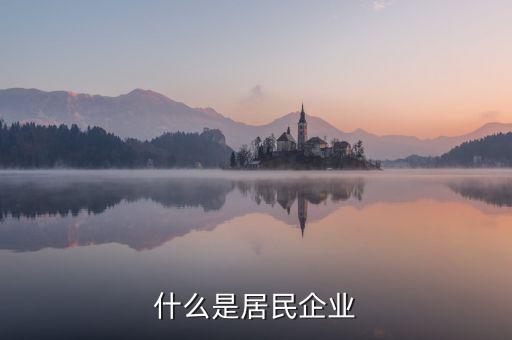 什么是居民企業
